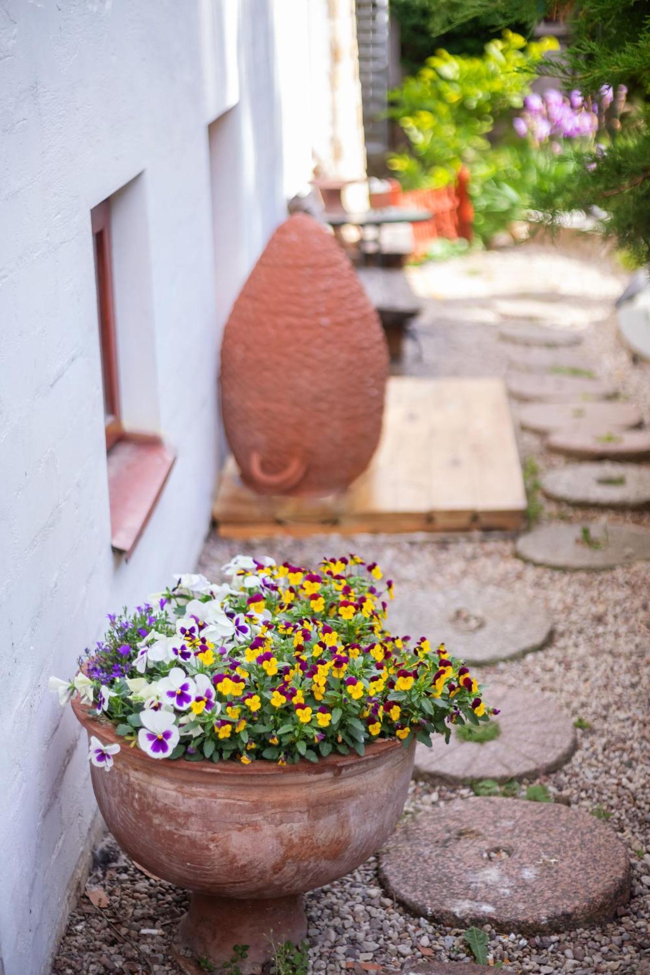 Bed and Breakfast House Of Sun Wilno Zewnętrze zdjęcie